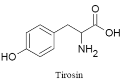 Gambar senyawa tirosin